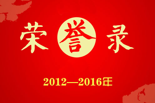 掇刀石中學榮譽錄（2012—2016）