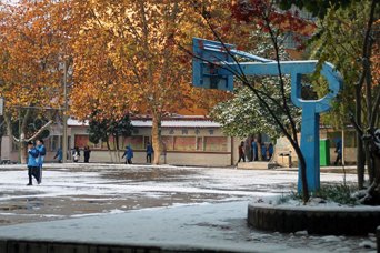 雪后初晴的校園