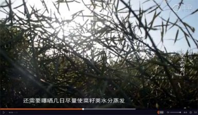 電教中心出品《舌尖上的荊門》獲獎(jiǎng)